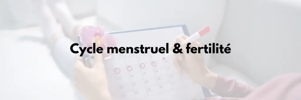 Cycle menstruel & Fertilté